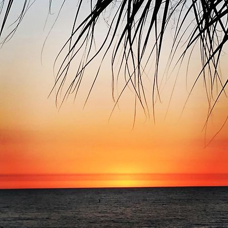 #502 Beach Place Condos - Nightly Rental سانت بيتي بيتش المظهر الخارجي الصورة